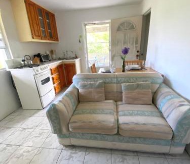 Bath Apartment | Coconut house Charlestown nevis