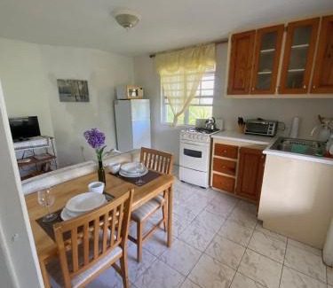 Bath Apartment | Coconut house Charlestown nevis