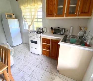 Bath Apartment | Coconut house Charlestown nevis