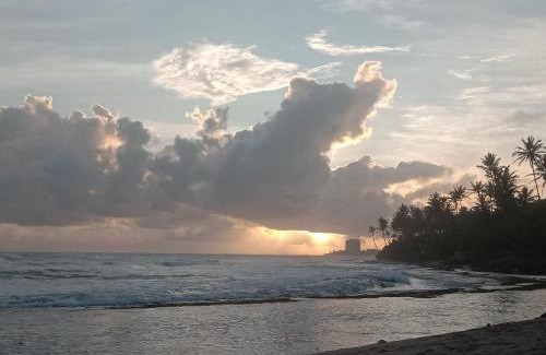 Matara Hotel | Coconut Villa Madiha