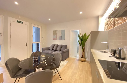 Barrio de La Latina Apartment | Collection La Latina - Modern studio in La Latina neighbourhood