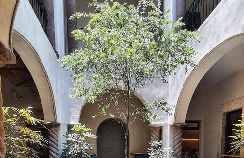 San Luis Potosi Apartment | Colonial hotel in the heart of the historic city center of San Luis