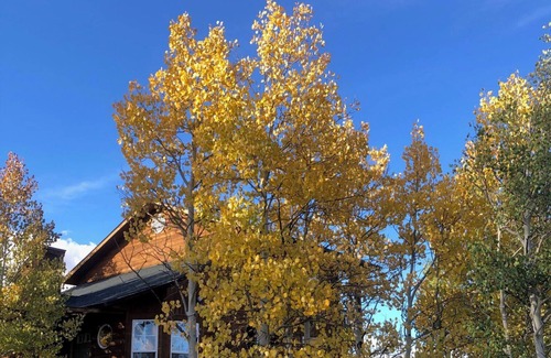 Indian Mountain House | Colorado high country comfy two-story house in COMO with great amenities