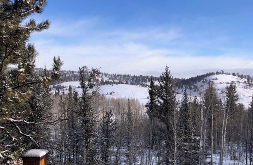 Indian Mountain House | Colorado high country comfy two-story house in COMO with great amenities