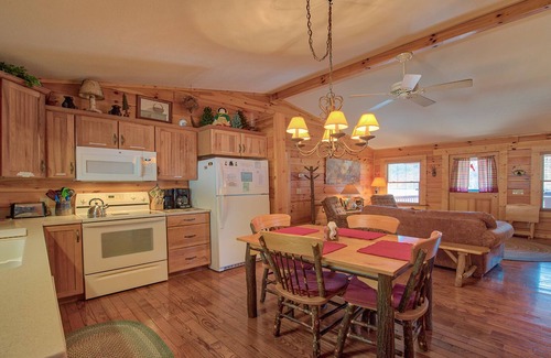Maggie Valley Cabin | COLORS in NOV. OPENINGS Mt. Views, Attached Garage, Flat Paved Parking, Pet Fee.