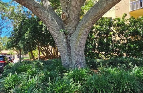 Saint Simons Island Apartment | Come Coast Awhile! Su