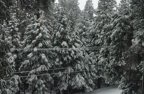 Pollock Pines House | Come Escape! mountains, lakes, rivers, Apple Hill, wine, snow, ski, hike, relax!