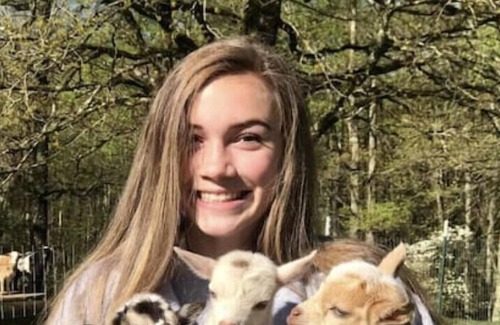 Dunlap Other | Come Play and Stay at Little Tail Farms