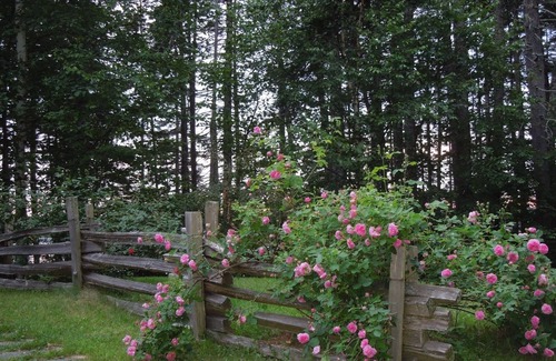 Steuben Cottage | Come, relax, and enjoy true peace and beauty.