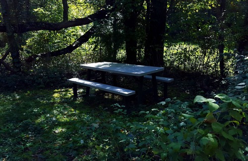 New Market House | Come view the foliage of the Shenandoah Valley. Mt. Views. Pool table, ping pong