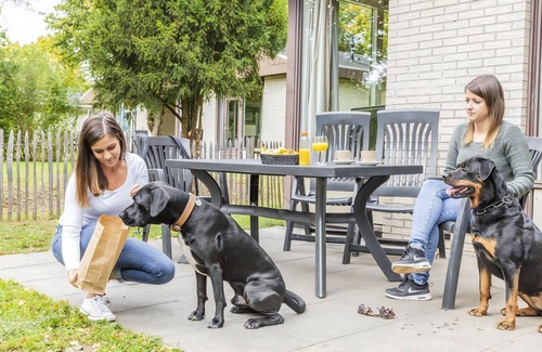 Kell am See House | Comfort 6-person dog bungalow in the holiday park Landal Hochwald