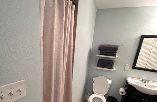 Carrollwood Apartment | Comfort and convenience in Tampa Bay