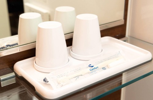 Kiyosumi-Shirakawa Hotel | Comfort Hotel Tokyo Kiyosumi Shirakawa