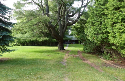 Manistee Cabin | Comfort in Natural Surroundings