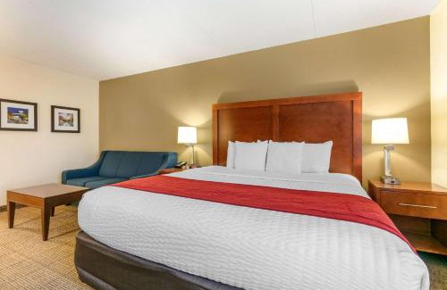 Downtown Chattanooga Hotel | Comfort Inn Chattanooga Downtown Southside