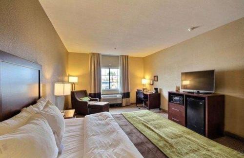 Edinburg Hotel | Comfort Inn Edinburg South