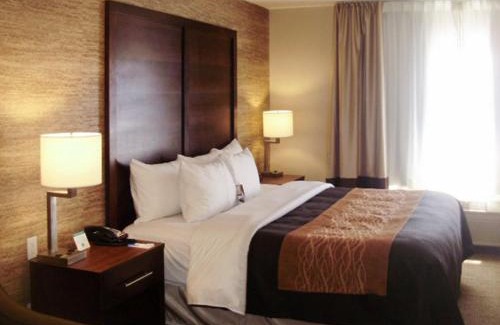 Ludington Hotel | Comfort Inn Ludington near US-10