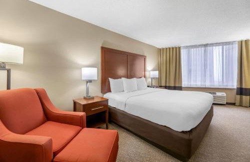 Downtown Memphis Hotel | Comfort Inn Memphis Downtown