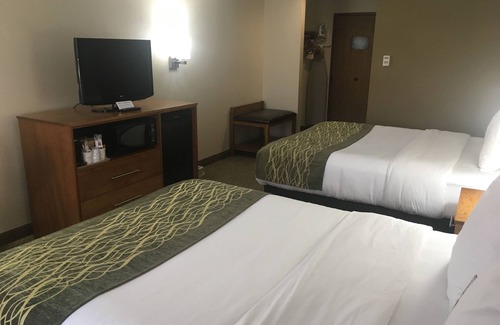 Millersburg Hotel | Comfort Inn Millersburg