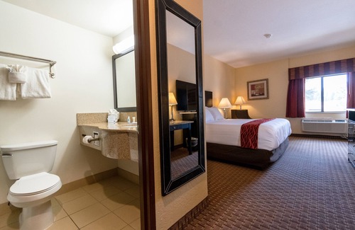 Williams Hotel | Comfort Inn Near Grand Canyon