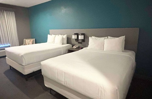 Burnet Hotel | Comfort Inn & Suites Burnet