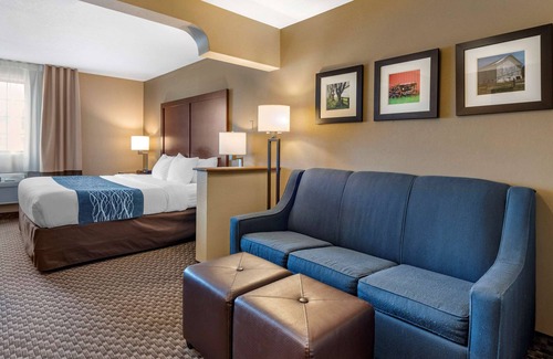Napoleon Hotel | Comfort Inn & Suites Napoleon