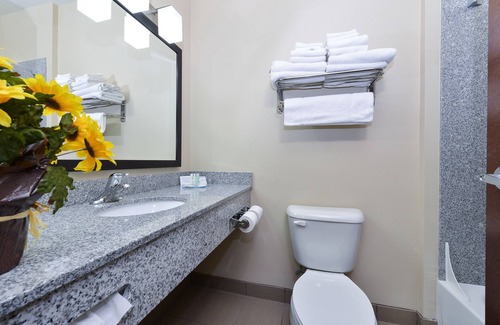 Page Hotel | Comfort Inn & Suites Page at Lake Powell