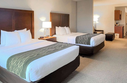 Rogersville Hotel | Comfort Inn & Suites Rogersville