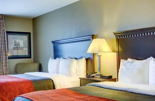 Russellville Hotel | Comfort Inn & Suites Russellville I-40