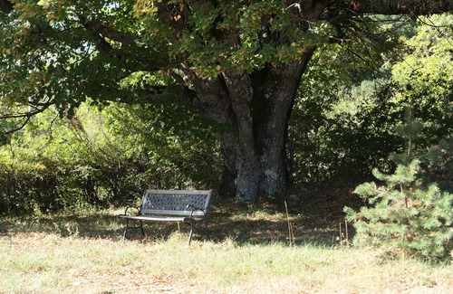 Revest-du-Bion Ski Chalet | Comfort & quietness, wildlife with Provence touch.