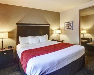 Central Arlington Hotel | Comfort Suites Arlington - Entertainment District