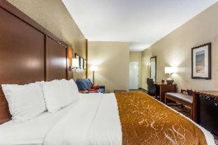 Red Hill Hotel | Comfort Suites At the University