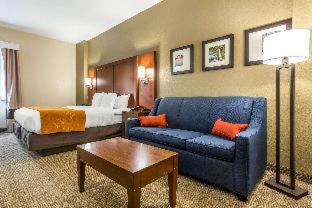 Red Hill Hotel | Comfort Suites At the University