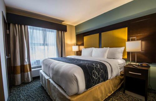 Dania Beach Hotel | Comfort Suites Fort Lauderdale Airport South & Cruise Port