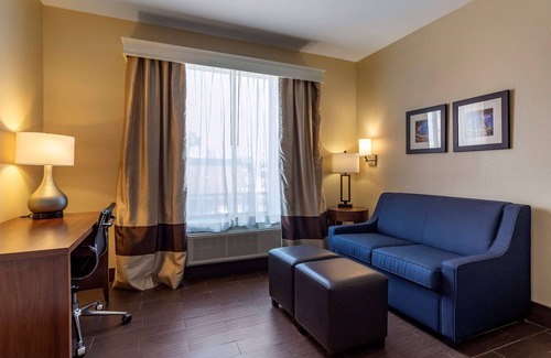 South Main Hotel | Comfort Suites Houston near Medical Center- NRG Stadium