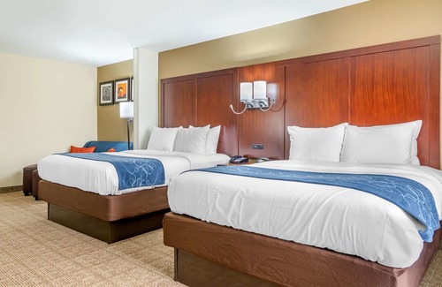 Savannah Hotel | Comfort Suites Savannah Gateway I-95