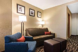 Bearss Plaza Hotel | Comfort Suites Tampa Airport North