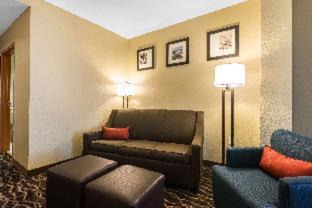 Bearss Plaza Hotel | Comfort Suites Tampa Airport North