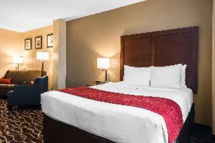 Bearss Plaza Hotel | Comfort Suites Tampa Airport North