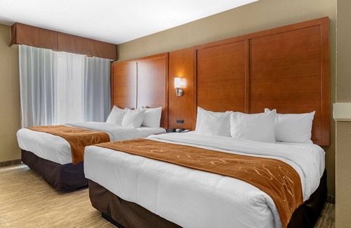 Lubbock Hotel | Comfort Suites University