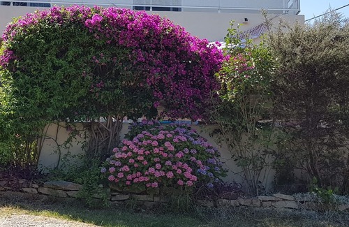 Prunelli-di-Fiumorbo Cottage | Comfortable 3-room apartment, quiet location with swimming pool