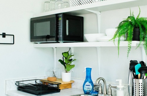 East Hill Apartment | Comfortable 1BR | Cozy Spot in Pensacola