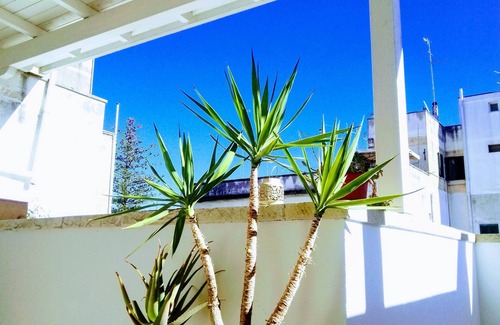 Lecce Apartment | Comfortable 2 bedrooms apartment 5 min walk from Lecce historic center