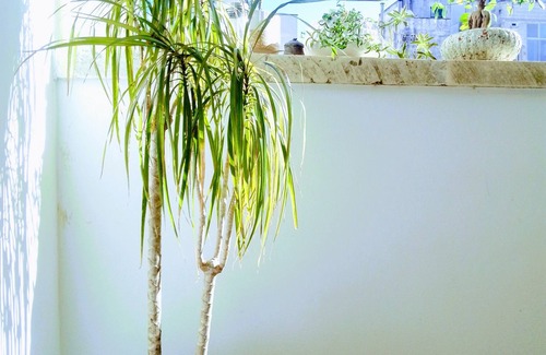 Lecce Apartment | Comfortable 2 bedrooms apartment 5 min walk from Lecce historic center