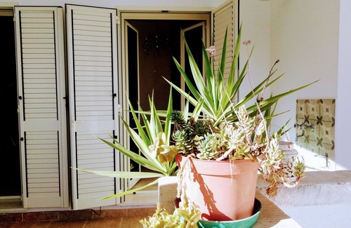 Lecce Apartment | Comfortable 2 bedrooms apartment 5 min walk from Lecce historic center