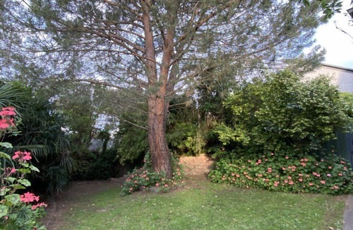 Healesville House | Comfortable 3 bedroom home close to everything!