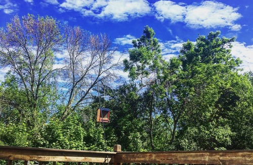 Albany House | Comfortable 3 Bedroom 1.5 bath with fenced in back yard