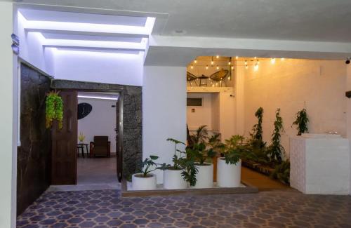 Zona 7 Apartment | Comfortable and Beautiful Room 5 minutes from Tikal Futura H3