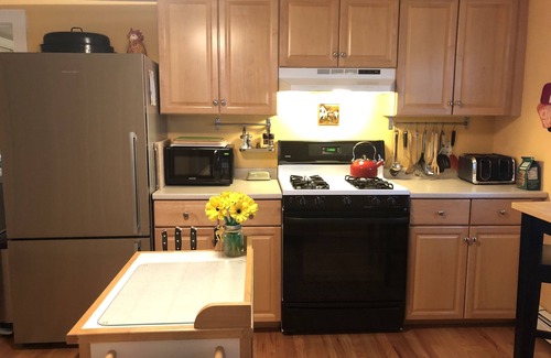 Arefth Condo | COMFORTABLE AND WELL-APPOINTED, BRIGHT AND SPACIOUS ON THE BOSTON-CAMBRIDGE LINE