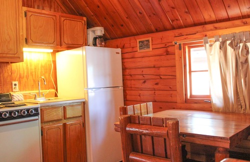 New Braunfels Cabin | Comfortable Cabin along the Guadalupe River
